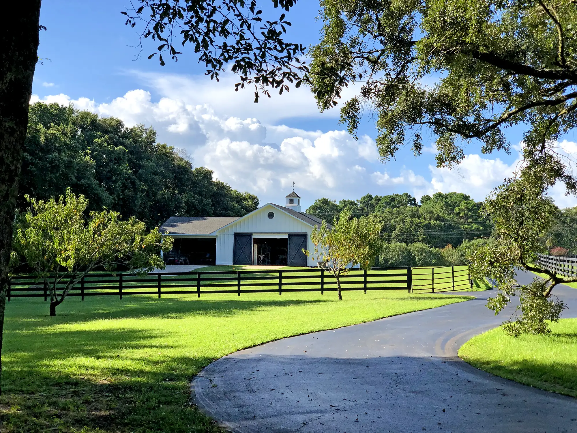 Middle Field
